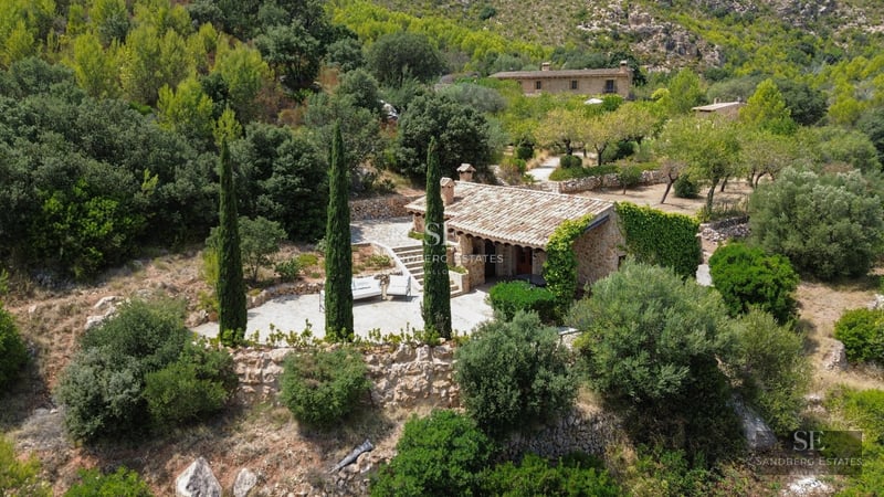 Exterior view of a modern villa featuring a swimming pool, lush garden, and sleek architecture. Contemporary design with large windows.