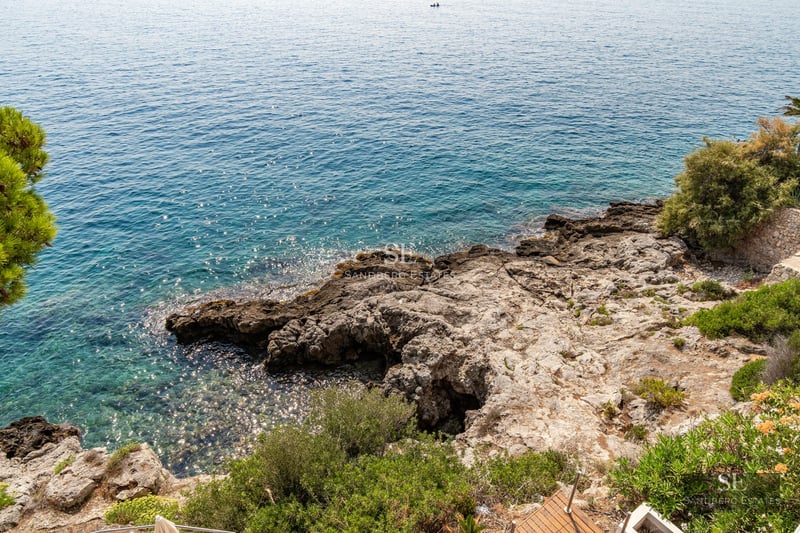 View of a modern pool with lounge chairs and umbrellas, surrounded by a lush garden and elegant architecture.