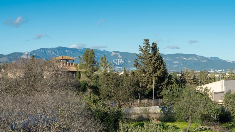 Exterior view of a modern villa with a pool, expansive terraces, and minimalist architecture in a lush natural setting.