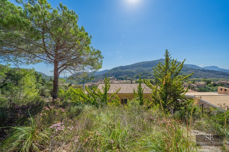 Elevated view of stone houses and tiled roofs nestled among green pine trees and mountains under a sunny blue sky.