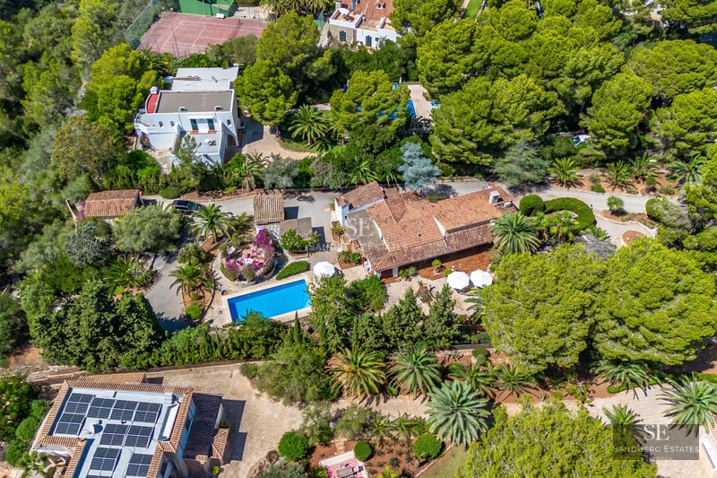 Bright living room with large windows, outdoor pool and modern design. Designer sofas, elegant rug, neutral colors.