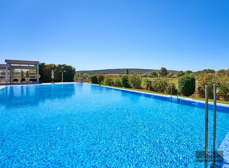 A large blue swimming pool with shimmering water, bordered by green hedges and a clear blue sky background.