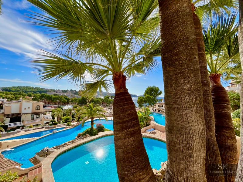 View through palm trees of large turquoise swimming pools overlooking a coastal town and the sea.