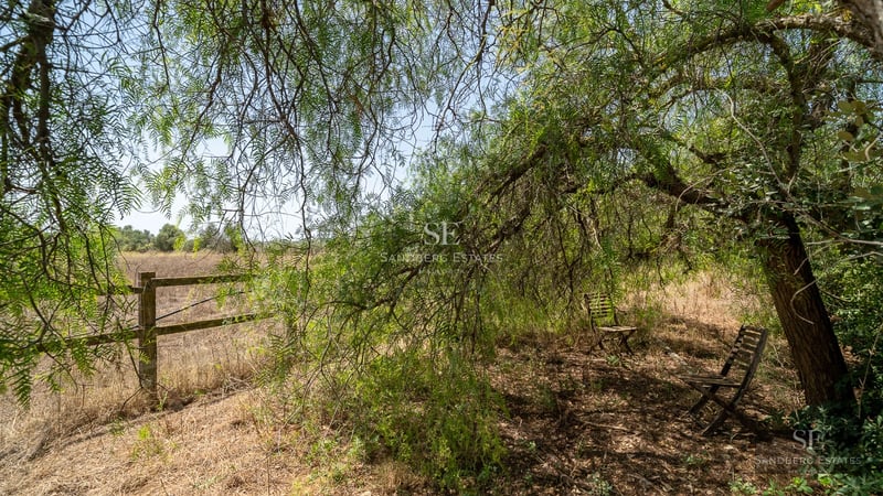 View of modern villa with infinity pool, sun loungers, garden, and large windows. Minimalist architecture, natural light.