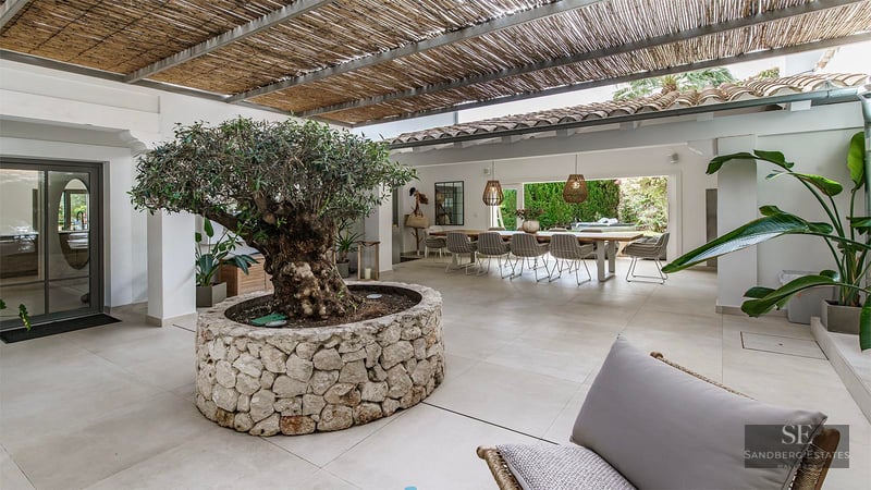 Covered terrace featuring a large olive tree in a stone planter and designer dining area opening to a garden.