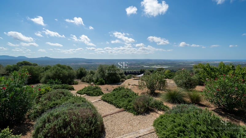 Exterior view of modern house with infinity pool surrounded by greenery. Minimalist architecture, glass fronts and design details.