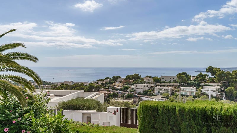 Wide-angle view of the blue sea and coastal villas under a bright sky with palm trees in the foreground.