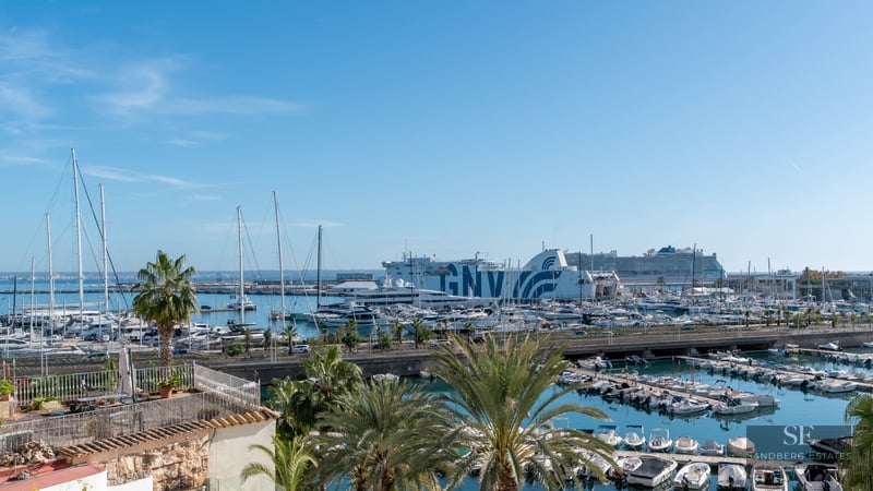 Wide view of a busy marina with yachts and a large ferry, framed by palm trees under a bright blue sky.