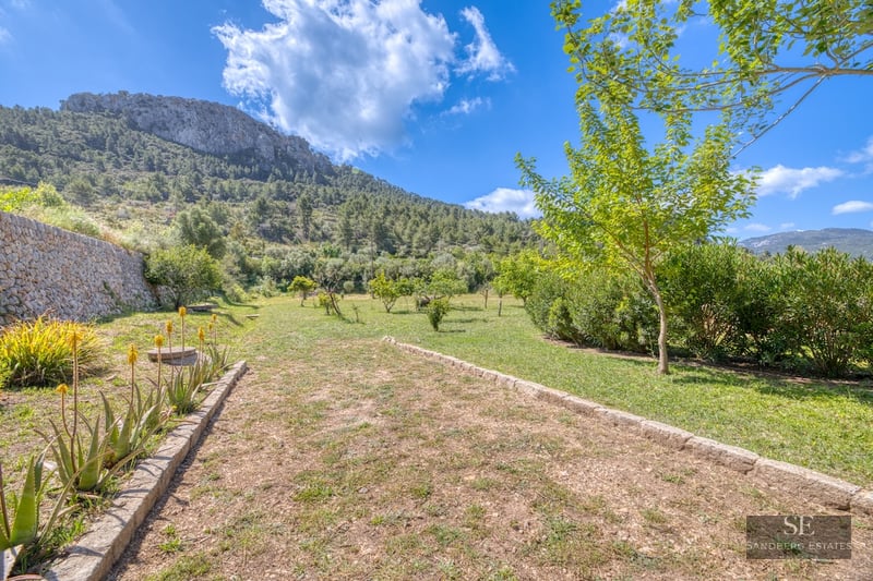 A sunny garden featuring stone pathways, lush greenery, aloe vera plants, and a large rocky mountain under a blue sky.