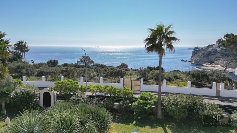 View of a sparkling blue sea and palm trees from a garden with a white wall and coastal cliffs in the distance.