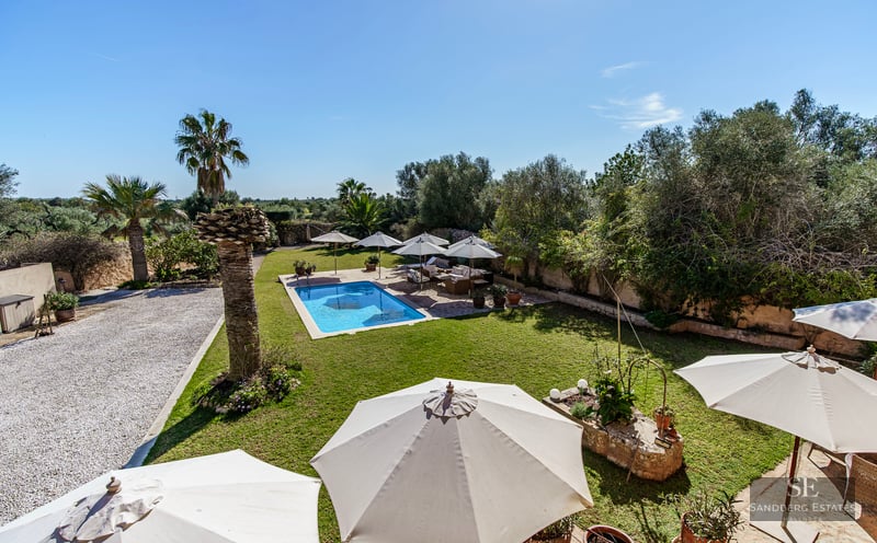 Elevated view of a blue swimming pool surrounded by green lawns, white umbrellas, and palm trees in a sunny garden.