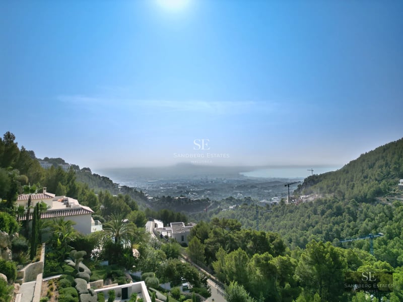 Exterior view of a luxurious modern house with an infinity pool, large windows, and lush landscaping.