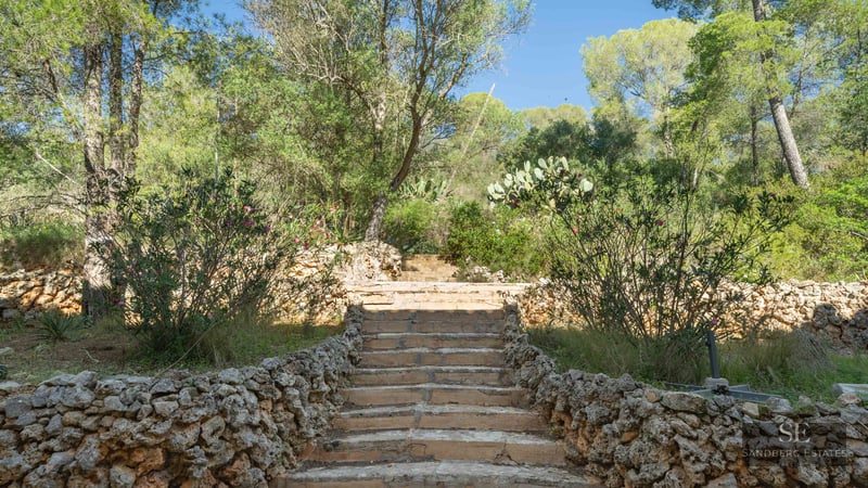 Natural stone steps flanked by dry stone walls and Mediterranean vegetation under a clear blue sky.