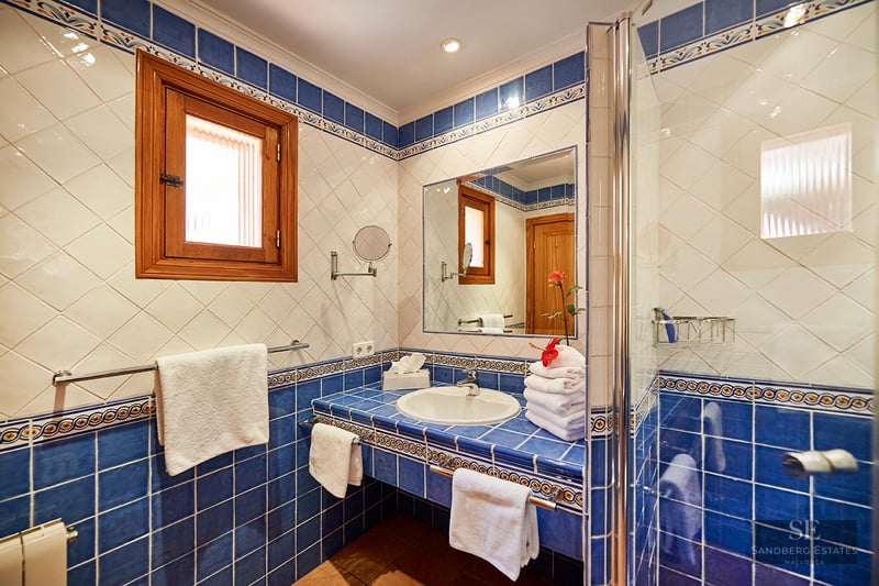 Bathroom with blue and white tiles, integrated vanity, mirror, glass shower door, and wooden window frame.