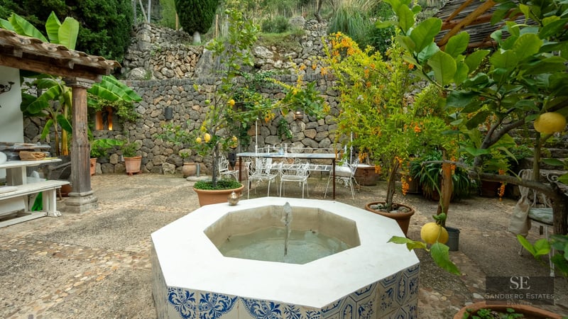 Exterior view of a modern house with an infinity pool. Minimalist design featuring large windows and a lush garden.