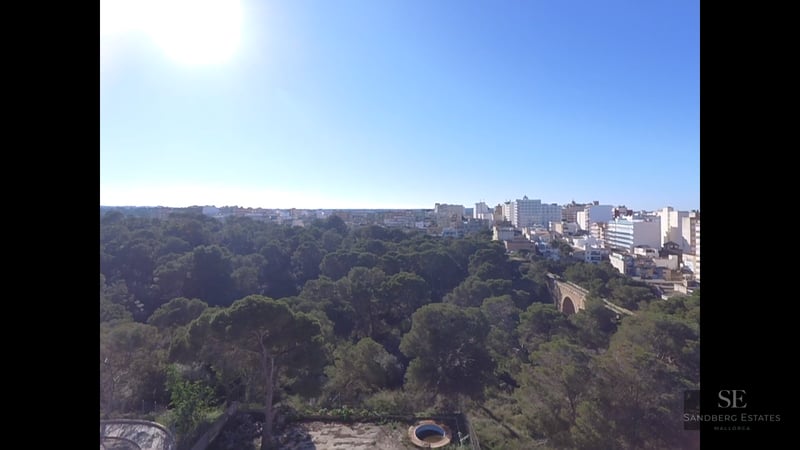 Elevated high-angle view of a dense green pine forest bordering a coastal city under a bright sunny blue sky.