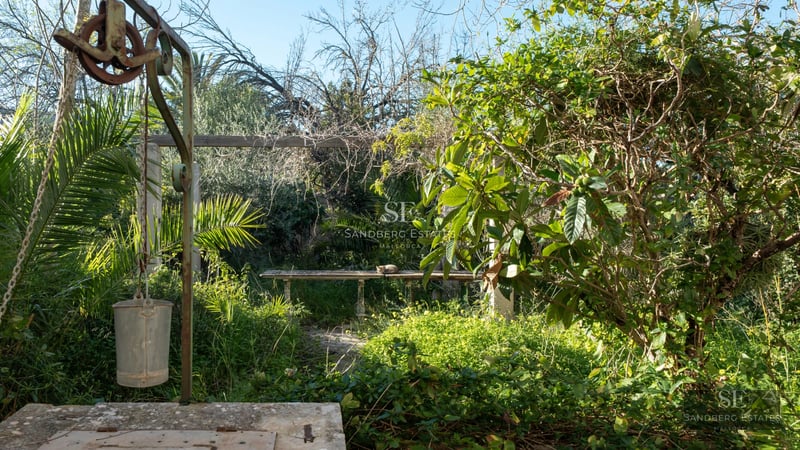 Exterior view of modern villa featuring infinity pool, expansive garden, and minimalist architecture. Sleek design and natural light.
