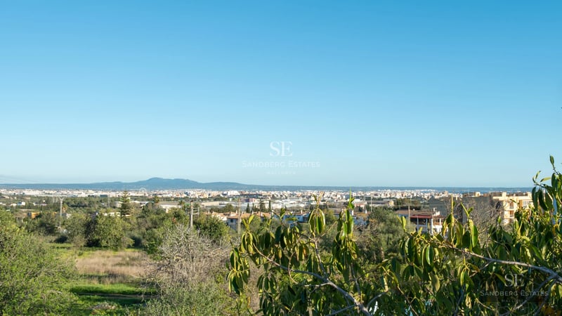 Image of a villa with a pool. Modern architecture, large windows, wooden terrace, and lush greenery.