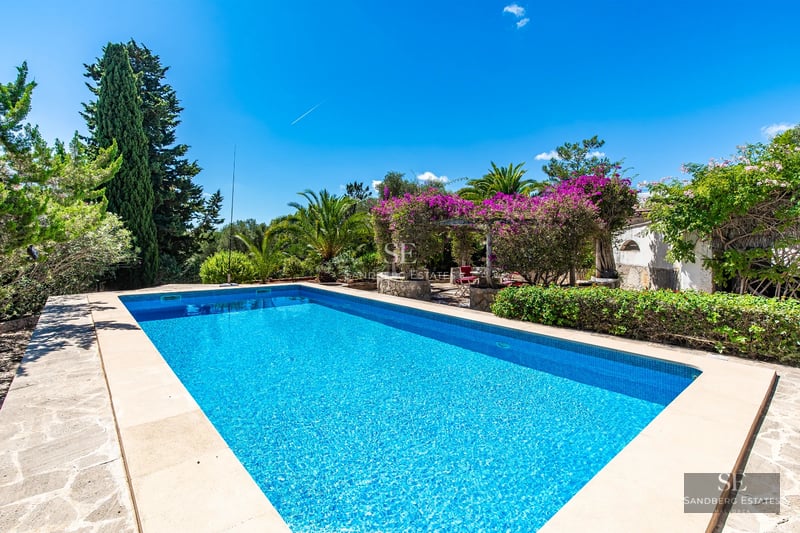 View of a modern infinity pool with lush greenery. Minimalist and elegant design with a clear blue sky.
