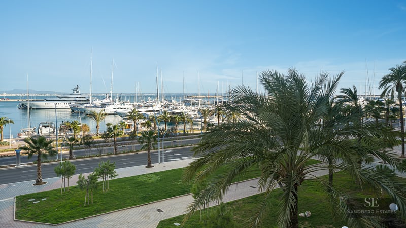 Elevated view of a harbor with luxury yachts, palm trees, and a coastal road under a clear blue sky.