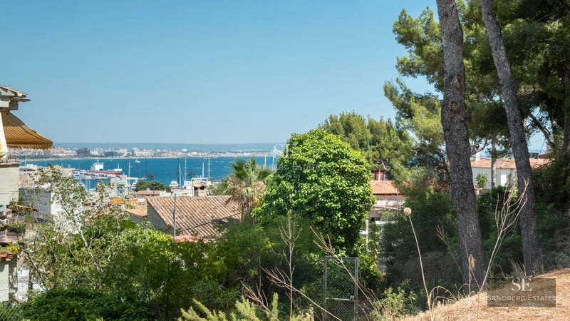 Spacious terrace with infinity pool, sun loungers, and panoramic views. Modern architecture with clean lines and abundant natural light.