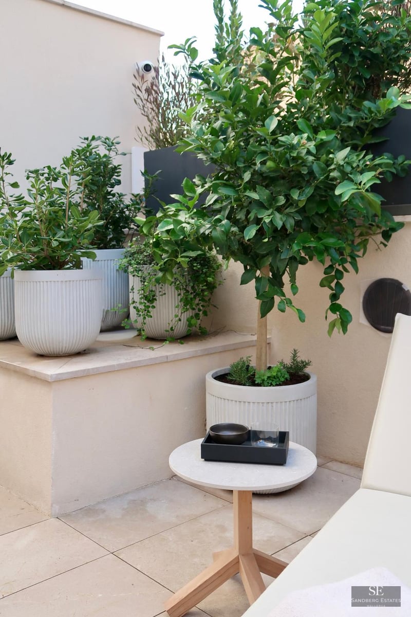 A modern terrace featuring white ribbed planters with green trees, a small stone table, and stone tile flooring.