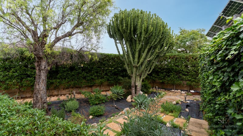 Lush garden featuring a massive candelabra cactus, stone pathways, and mature trees under a clear sky.