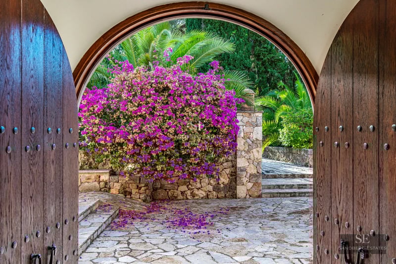 Expansive terrace with infinity pool, panoramic views, designer furniture, and lush greenery. Modern architecture with clean lines.