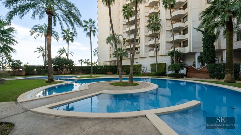 Large curved swimming pool surrounded by tall palm trees and a residential building under a clear sky.