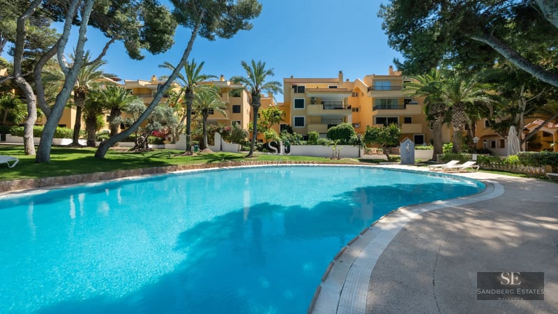 Aerial view of a luxurious property with infinity pool, garden, and modern architectural design. Flat roofs, large windows, and manicured landscaping.