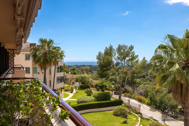 Vue d'un balcon sur un jardin méditerranéen avec des palmiers et la mer bleue au loin par temps clair.