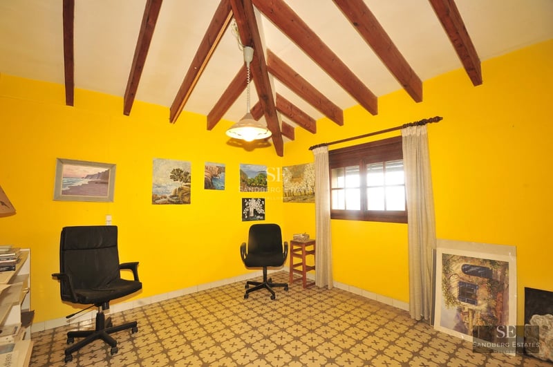 Spacious living room with fireplace and large windows. Leather sofa, wooden coffee table, and designer rug. Abundant natural light.