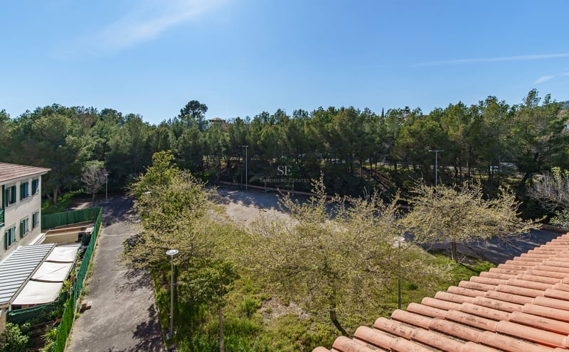 Utsikt från ett tak med terrakottapannor över en lummig tallskog och gångvägar under en klarblå himmel.