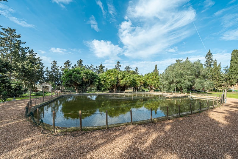 Un grand étang naturel de forme ovale entouré d'une clôture basse et d'arbres méditerranéens matures sous un ciel bleu.