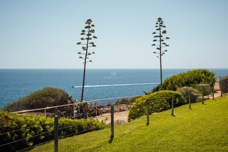 Jardin côtier avec pelouse, deux agaves et vue imprenable sur la mer azur avec un bateau à l'horizon.
