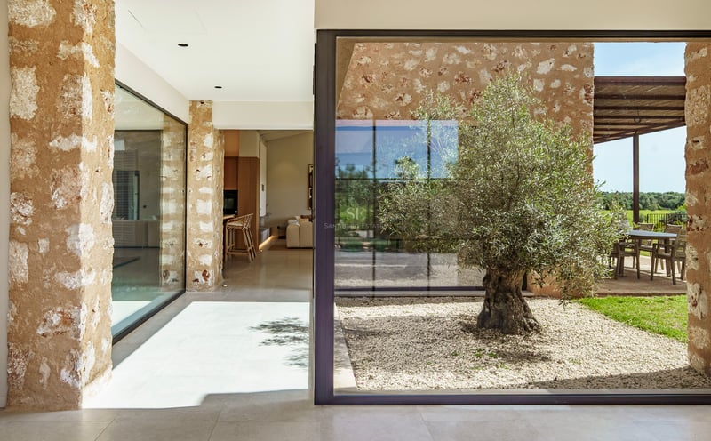 Verglaster Innenhof mit einem alten Olivenbaum, Natursteinwänden und hellem Kies in einer modernen Villa.