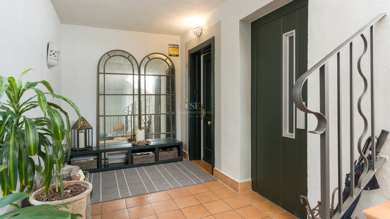 Entrance hallway featuring terracotta tiled floor, large arched mirrors, a dark green door, and indoor plants.