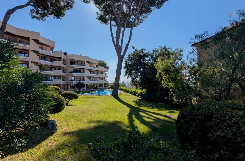 Großer Garten mit grünem Rasen, hohen Pinien und einem blauen Pool vor einem modernen Apartmentgebäude.