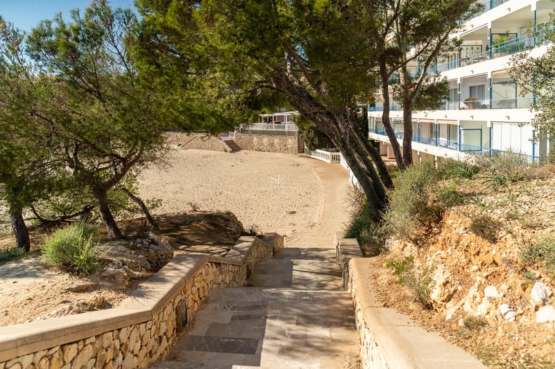 Steintreppen führen von einem weißen Wohngebäude durch Pinienbäume hinunter zu einem breiten Sandstrand.