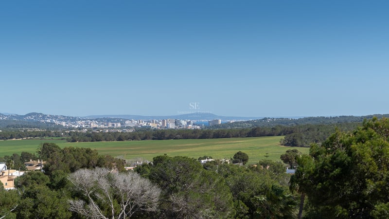 Upphöjd landskapsvy över gröna fält och tallskogar mot stadens silhuett och havet i fjärran.