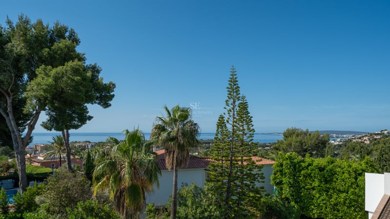 Vue surélevée de la mer Méditerranée encadrée par des palmiers et des pins sous un ciel bleu clair.