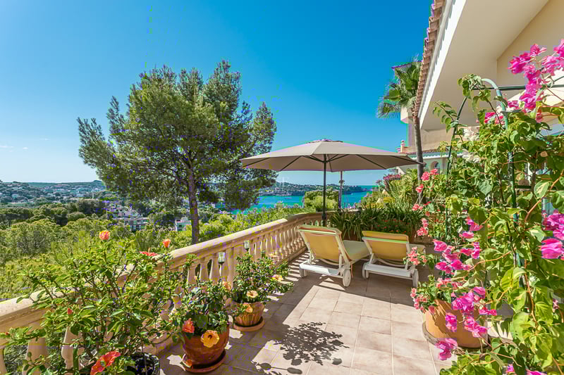 Spacious living room with floor-to-ceiling windows overlooking the garden and pool. Modern design, natural light, and high-quality finishes.