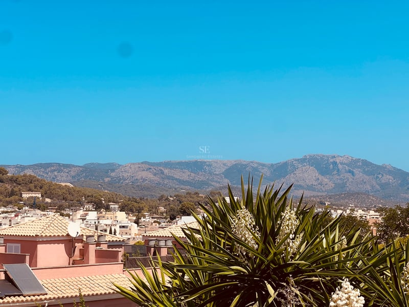 Vue sur les toits en terre cuite vers une chaîne de montagnes sous un ciel bleu avec un yucca au premier plan.