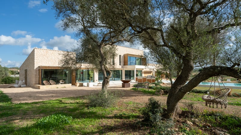 Samtida tvåvåningsvilla med stora glaspartier sedd genom gamla olivträd en solig dag.