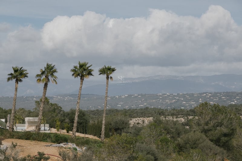 Mediterrane Landschaft mit vier Palmen, einer weißen Tagesliege und fernen Bergen unter bewölktem Himmel.