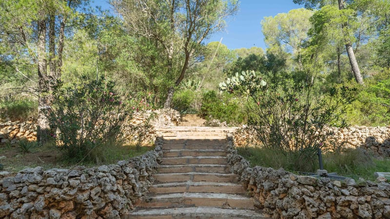 Des marches en pierre naturelle encadrées par des murs de pierre et une végétation méditerranéenne sous un ciel bleu.