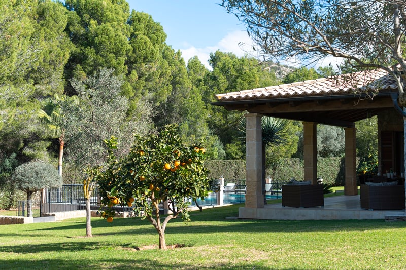Välskött gräsmatta med apelsinträd i förgrunden och en täckt veranda med stenpelare och korgmöbler.