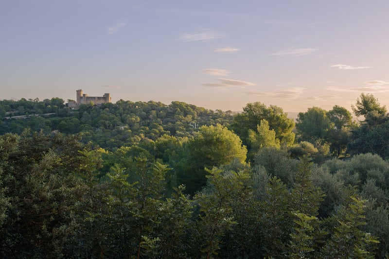 Eine historische kreisförmige Steinburg auf einem üppig grünen, bewaldeten Hügel unter einem sanften Abendhimmel.