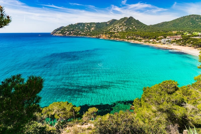 High-angle view of a clear turquoise bay surrounded by lush green pine trees and distant mountains under a blue sky.