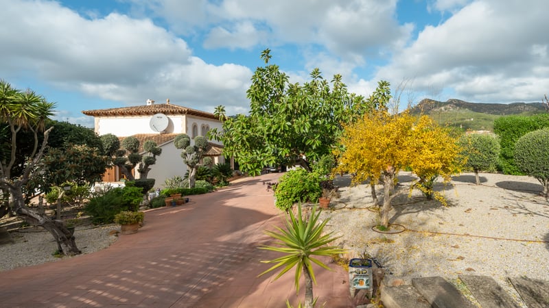 Terracotta-paved driveway leading to a white villa surrounded by trees and mountains under a blue sky.